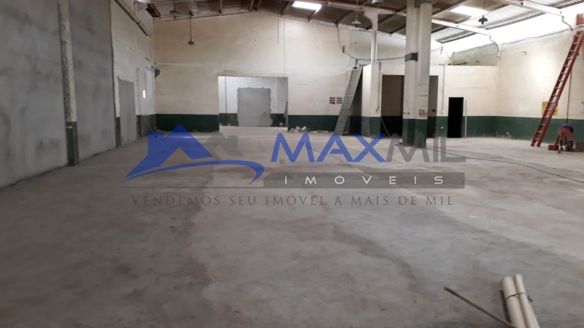 galeria image