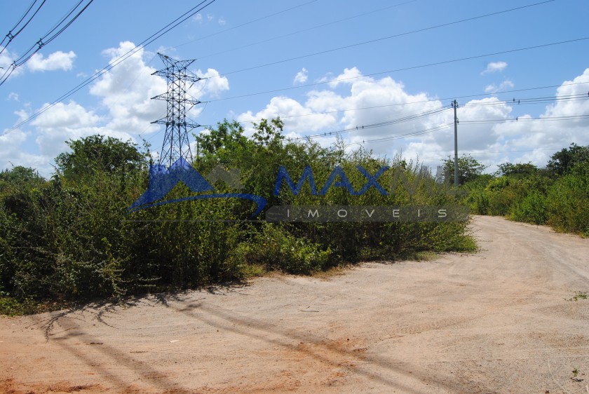 galeria image