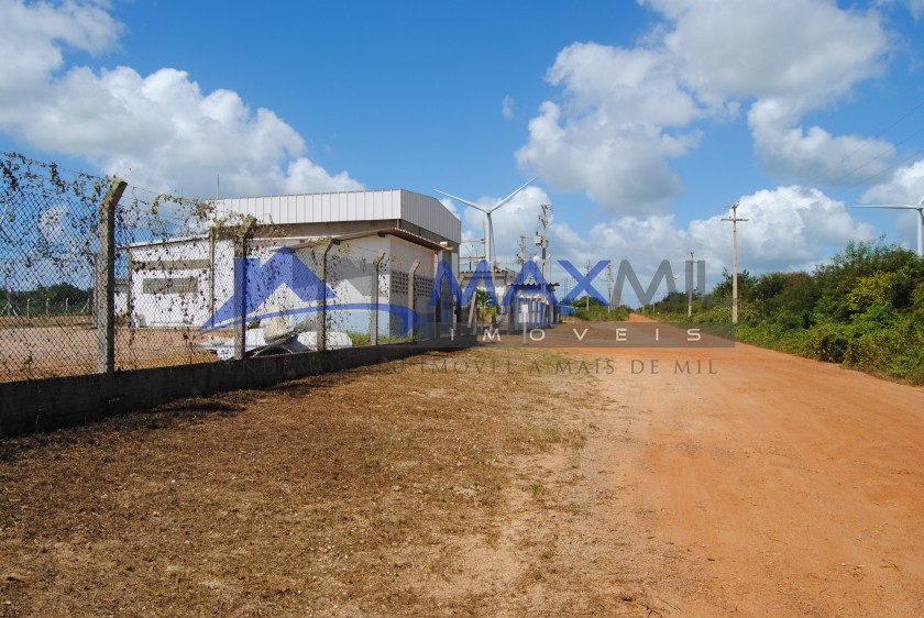 galeria image
