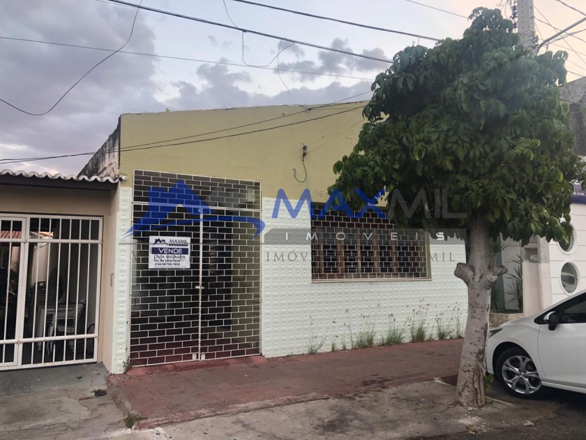galeria image