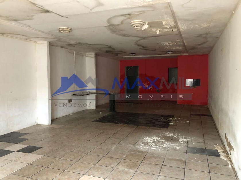 galeria image