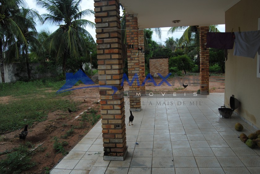 galeria image