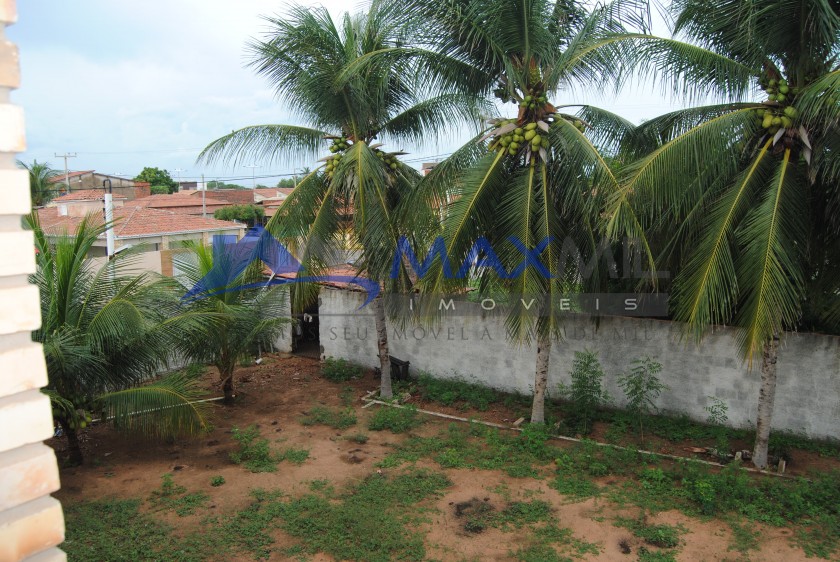 galeria image