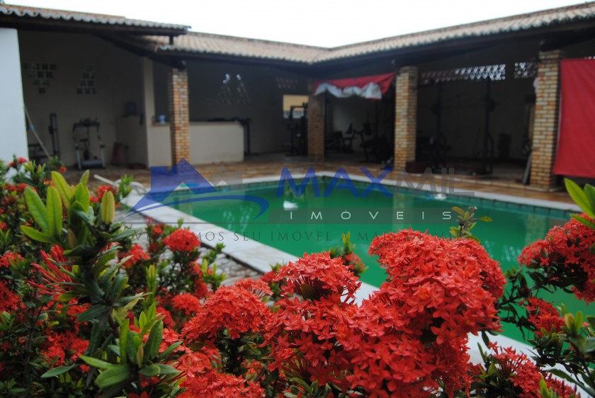 galeria image