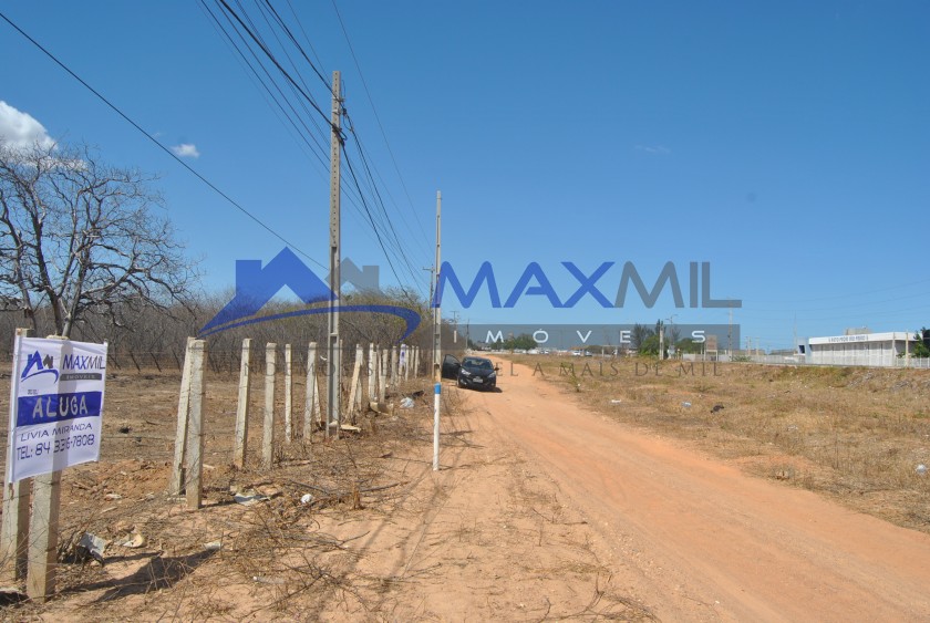 galeria image