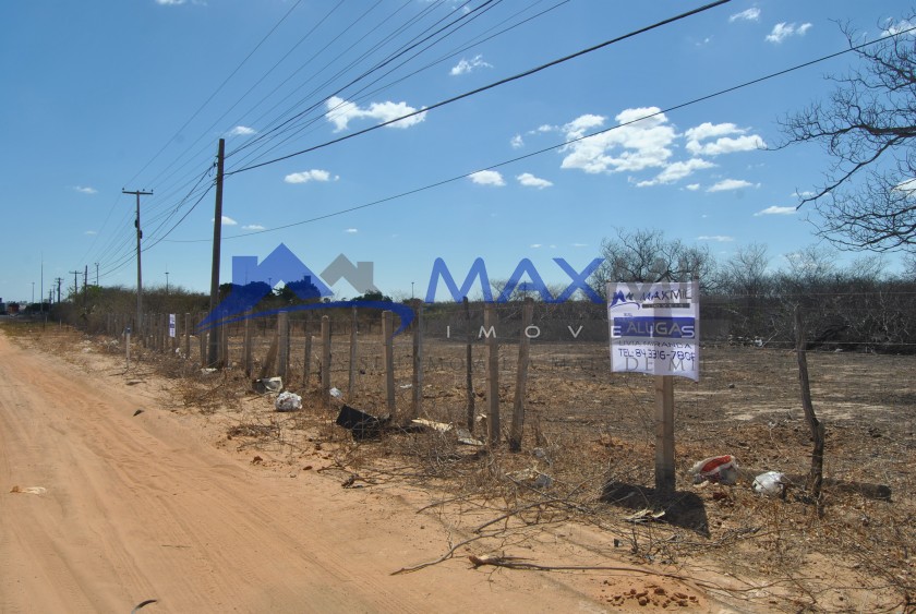 galeria image