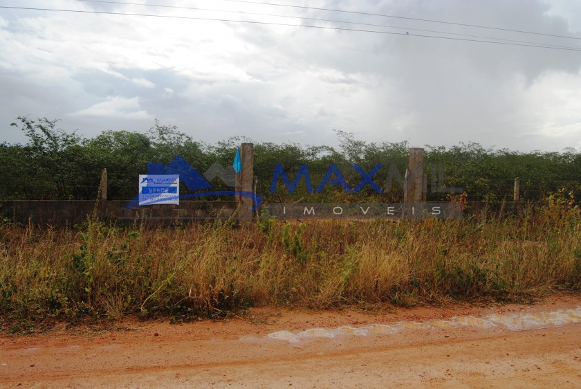 galeria image
