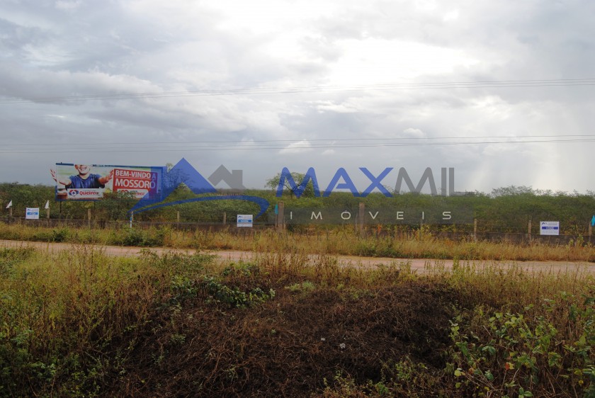 galeria image