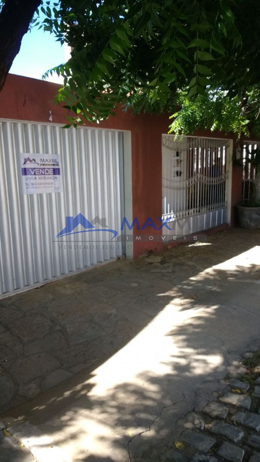 galeria image