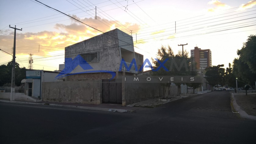 galeria image