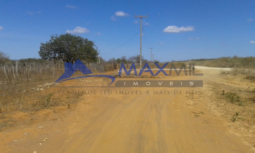galeria image