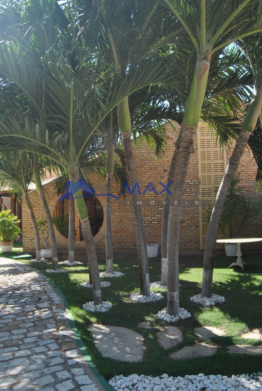 galeria image