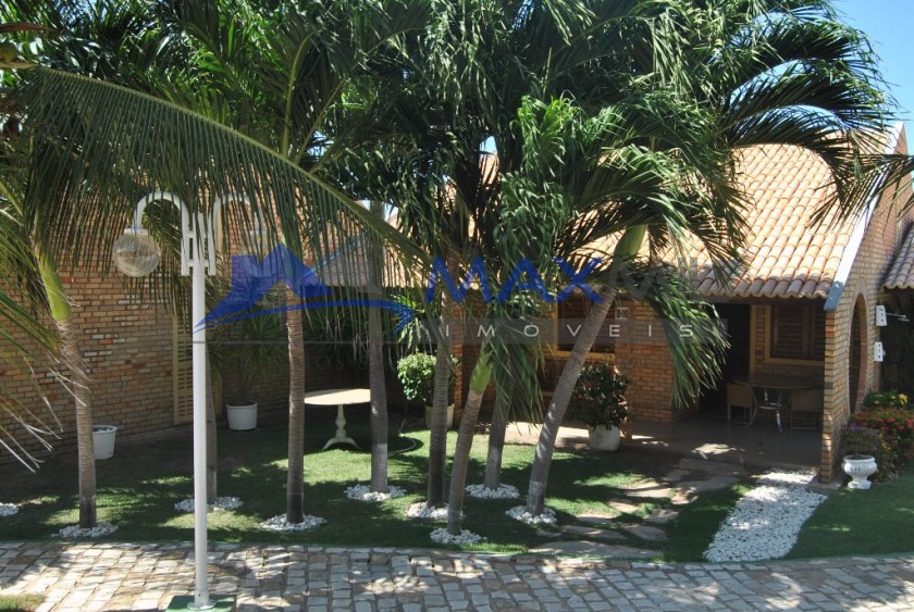 galeria image