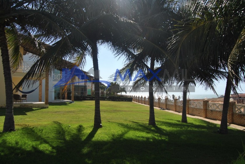 galeria image
