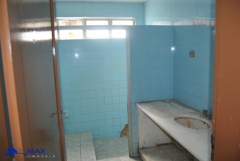 galeria image