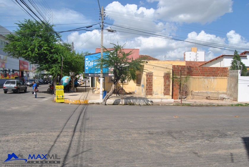 galeria image