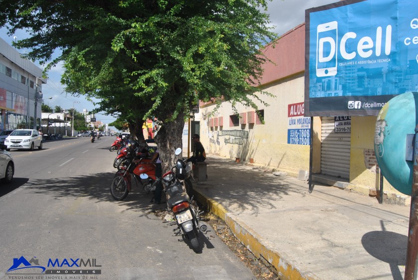 galeria image