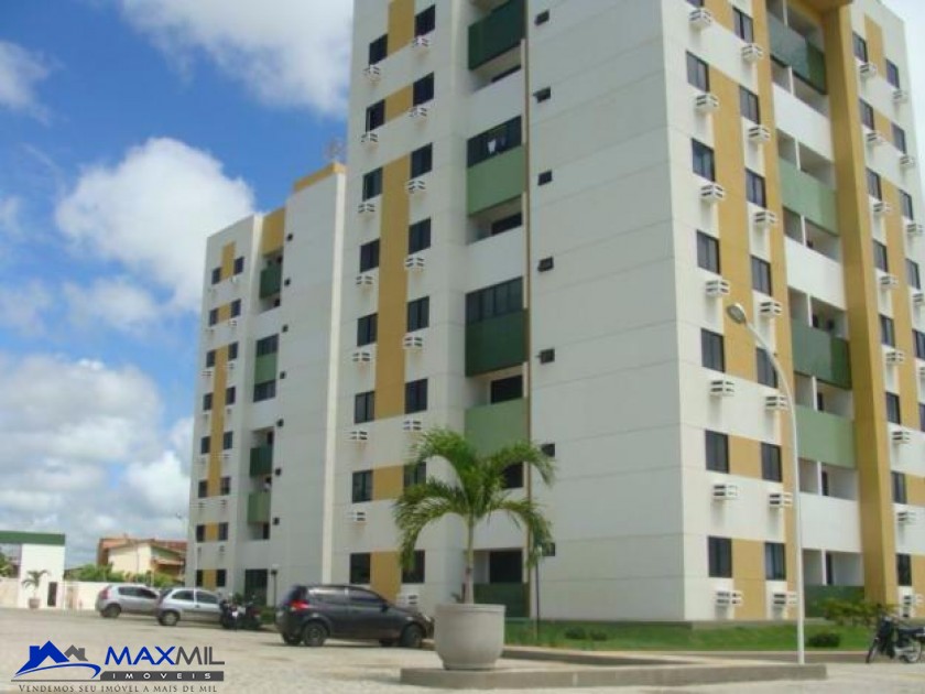 galeria image