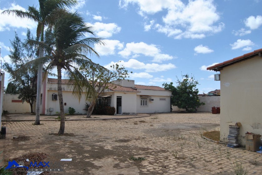 galeria image