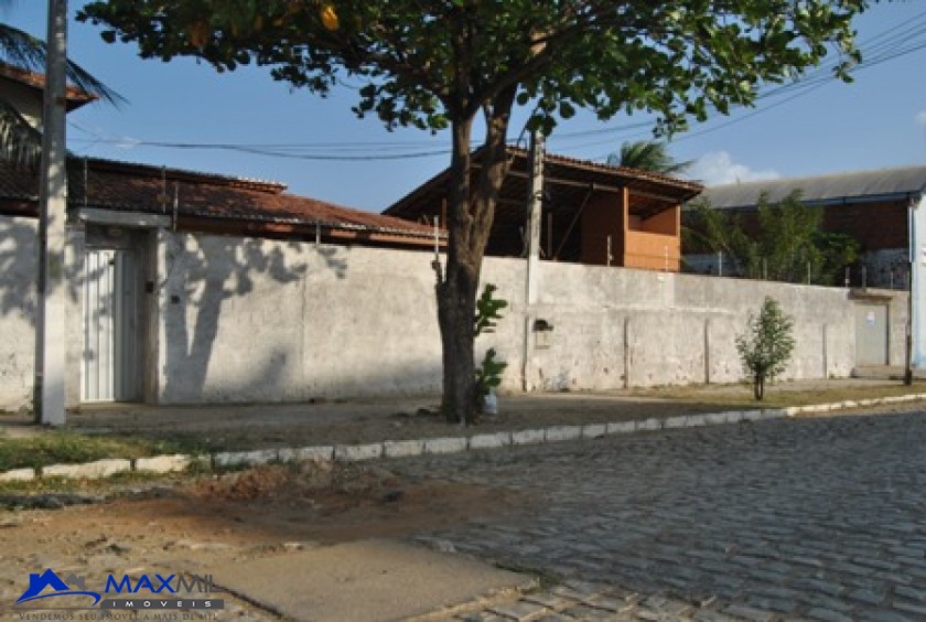 galeria image