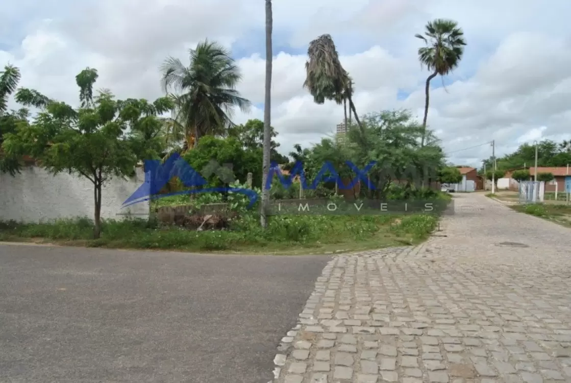 galeria image