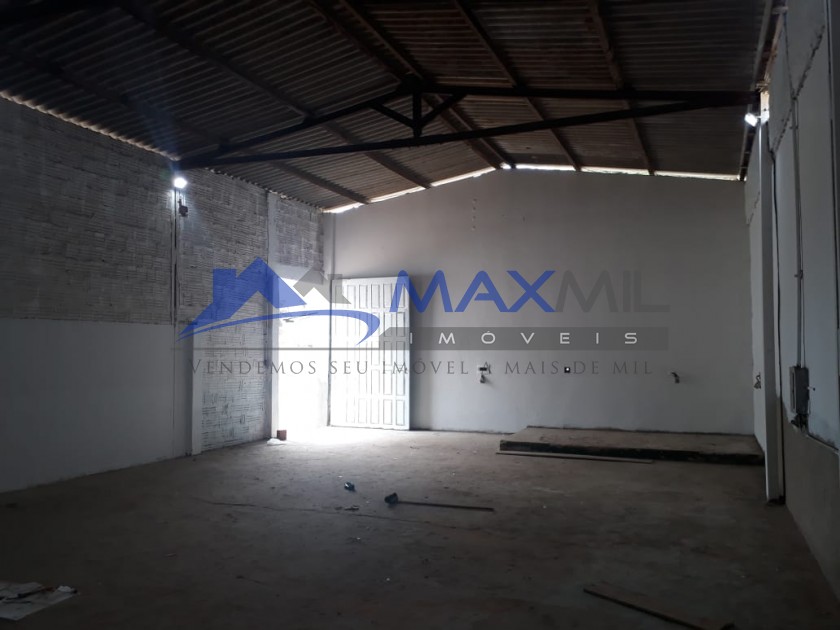 galeria image