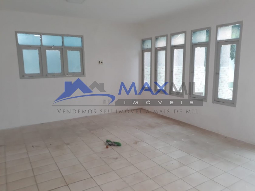 galeria image