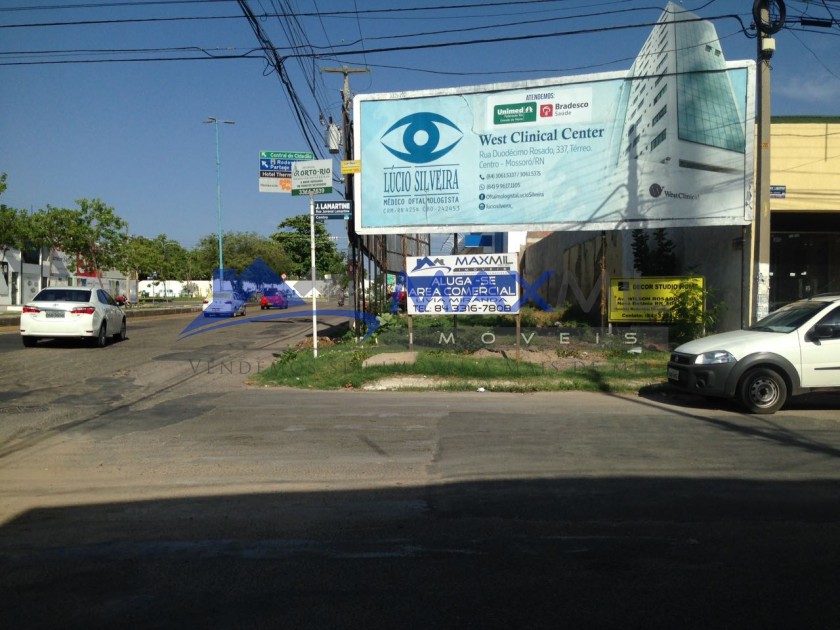 galeria image