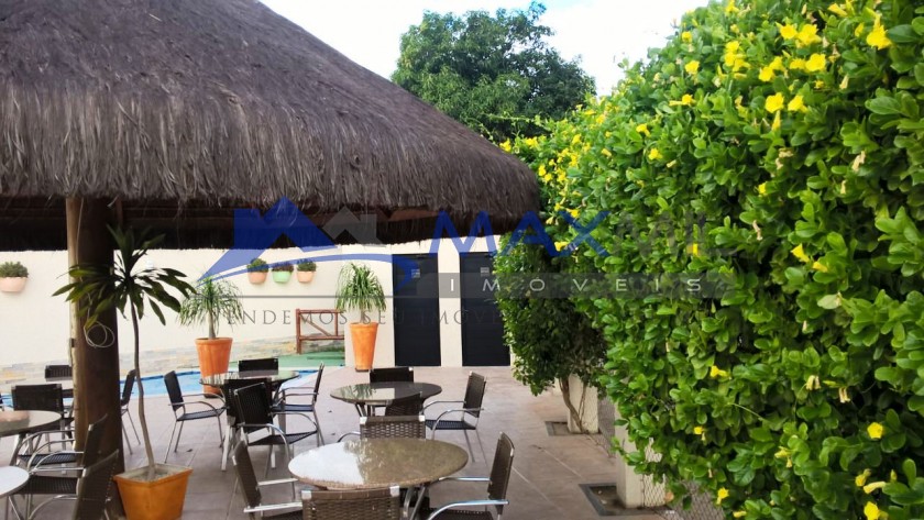 galeria image