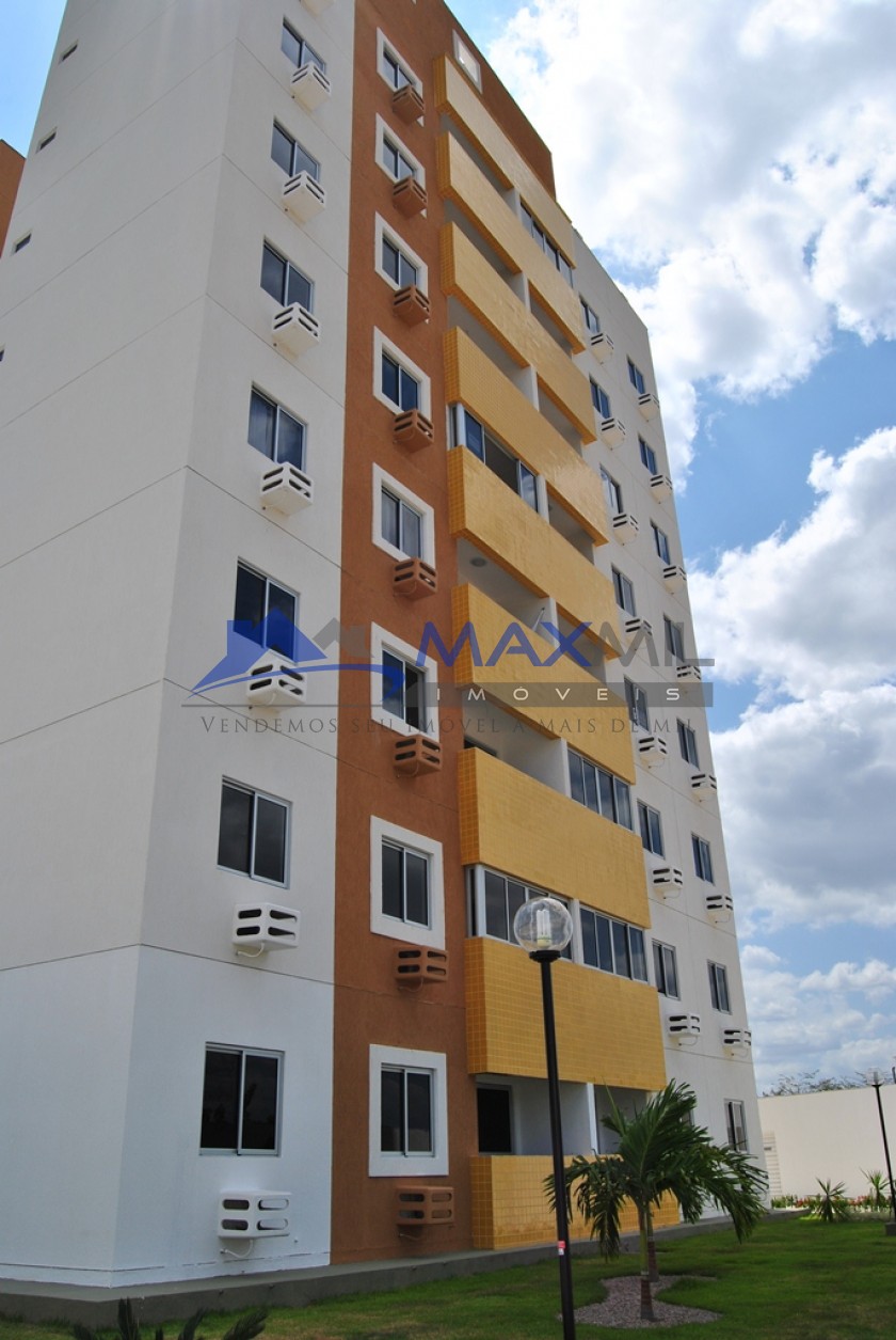 galeria image