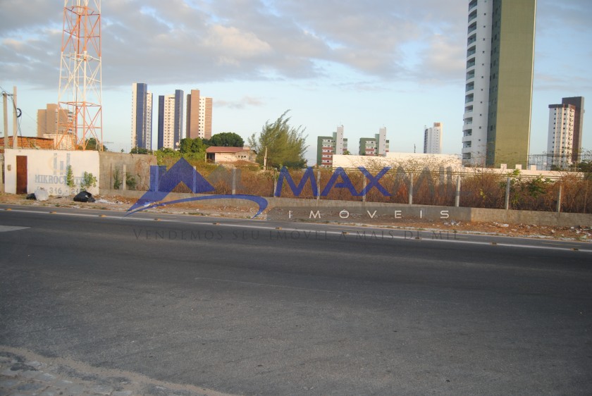 galeria image