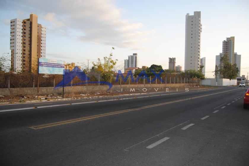 galeria image