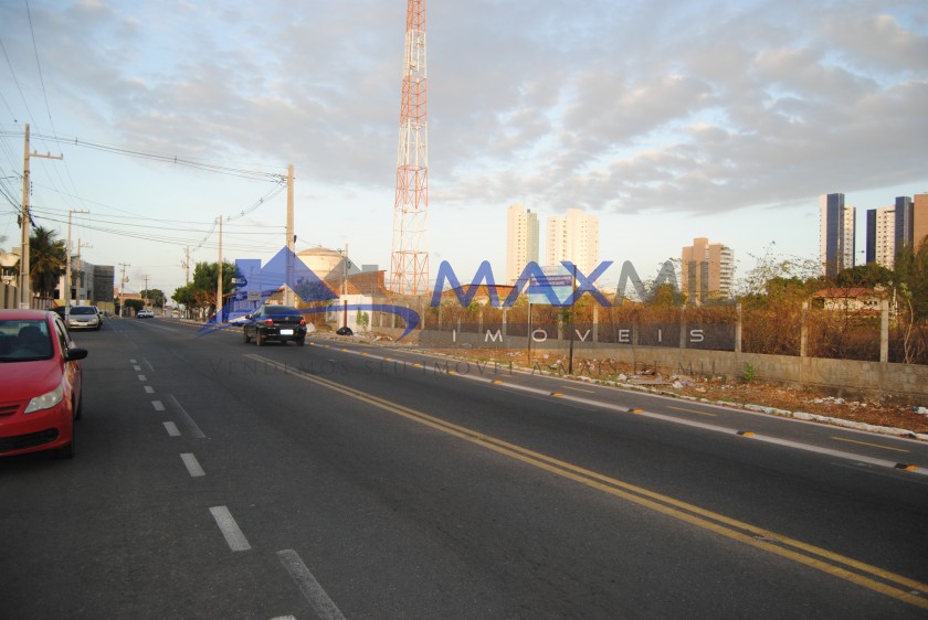 galeria image