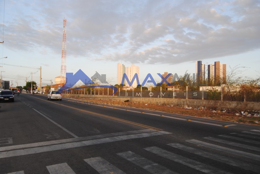 galeria image