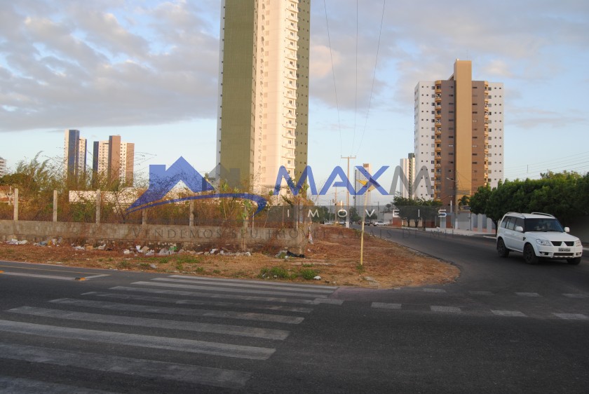 galeria image