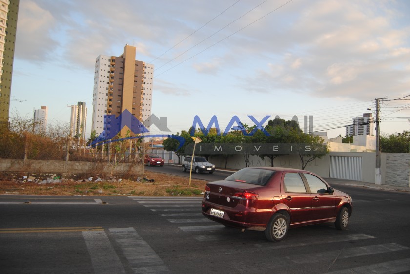 galeria image