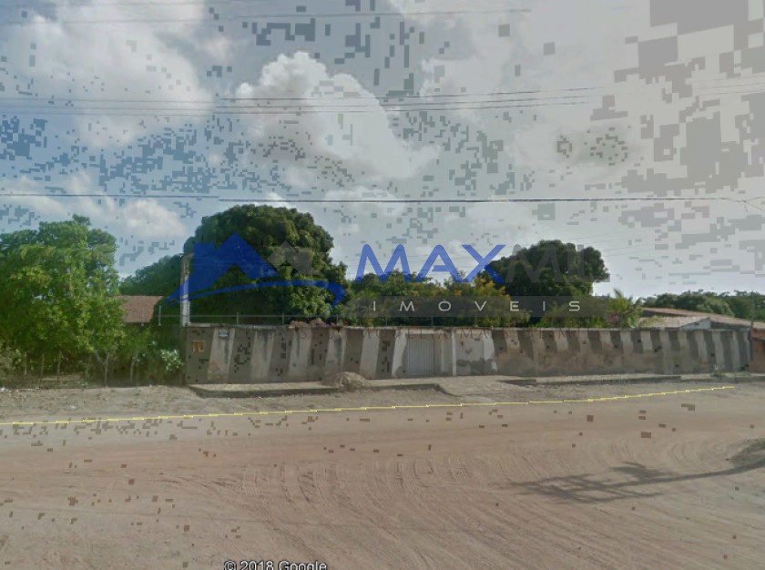 galeria image