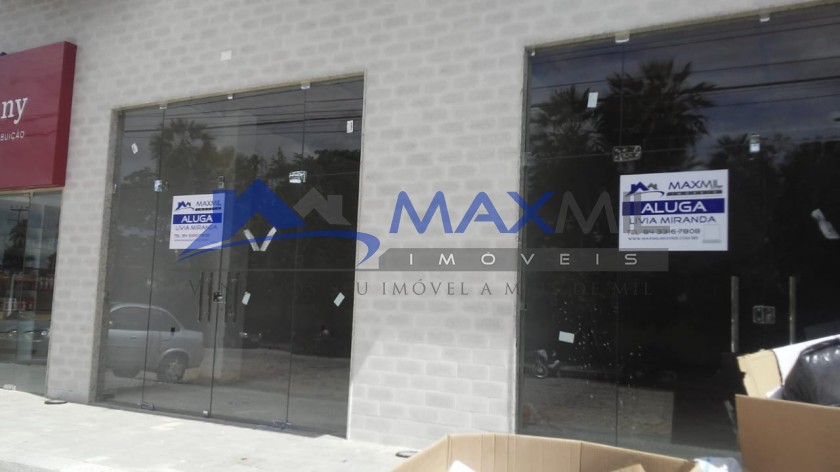 galeria image