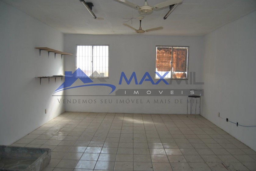 galeria image