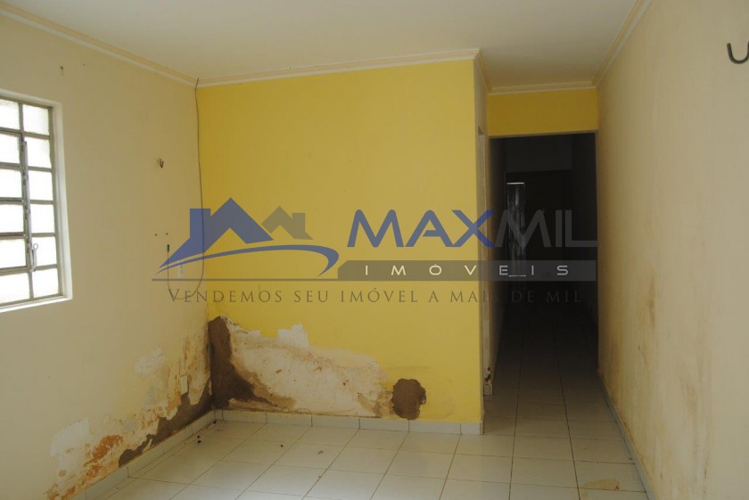 galeria image