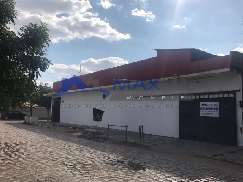 galeria image