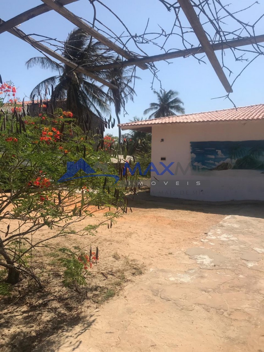 galeria image