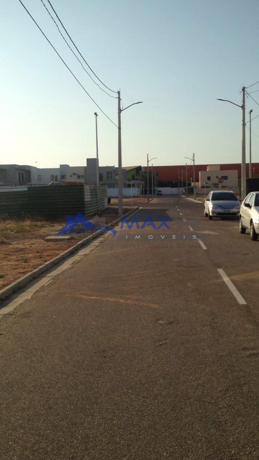 galeria image