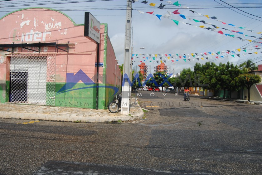 galeria image