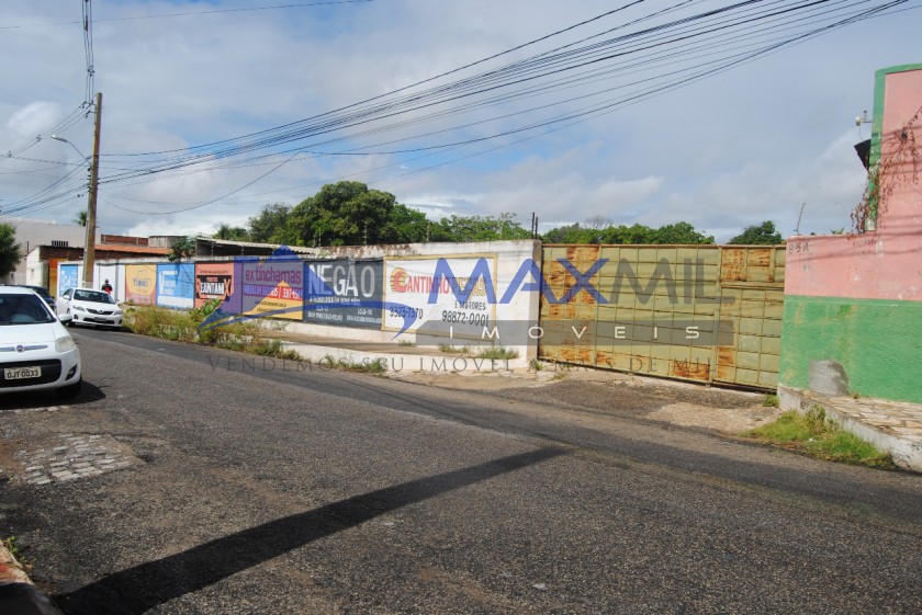 galeria image