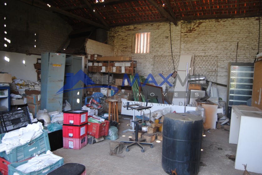 galeria image