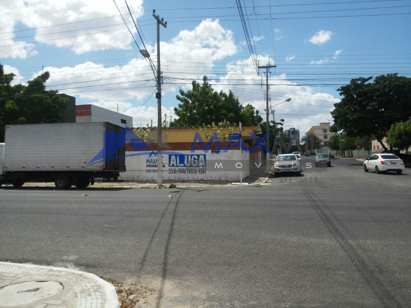 galeria image