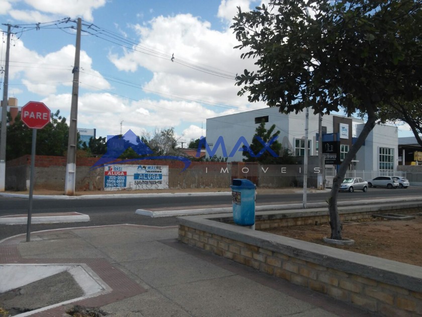 galeria image