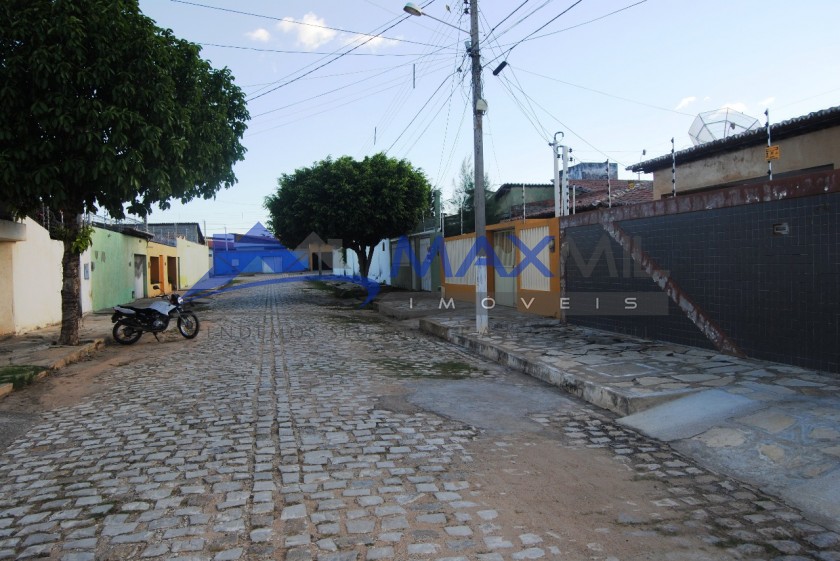 galeria image