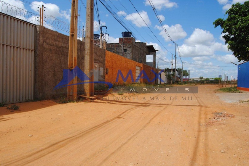 galeria image